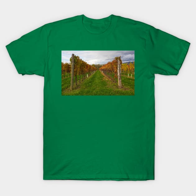Autumn Grape Vines in North East Italy T-Shirt by jojobob